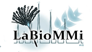 Laboratório de Bioquímica Micromolecular de  Microorganismos - LaBioMMi